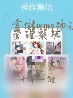 仓储wms物流管理系统