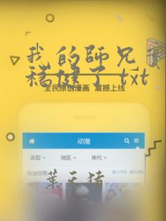 我的师兄实在太稳健了 txt