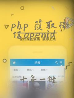 php 获取微信openid