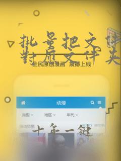 批量把文件放到对应文件夹里