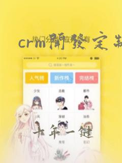 crm开发定制