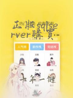 正版sqlserver购买