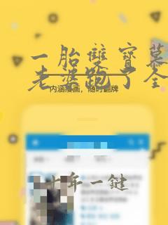 一胎双宝慕少你老婆跑了全文免费阅读