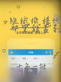 组织机构代码在哪里能查到