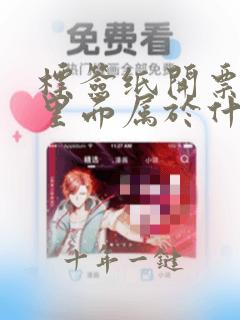 标签纸开票系统里面属于什么类别
