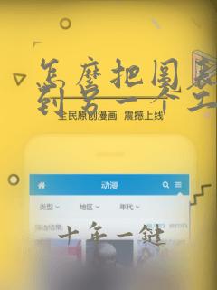 怎么把图表复制到另一个工作表