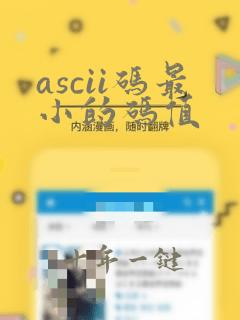 ascii码最小的码值