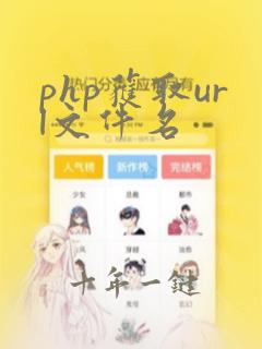 php获取url文件名