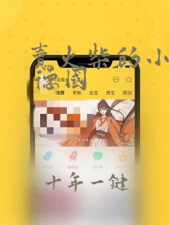 卖火柴的小女孩 德国