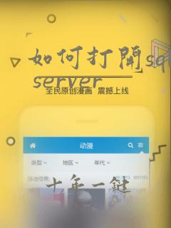 如何打开sql server