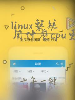 linux系统用什么cpu更好