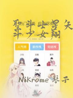 圣斗士星矢 圣斗少女翔：结局+番外