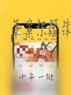 怎么把照片放到苹果小组件上