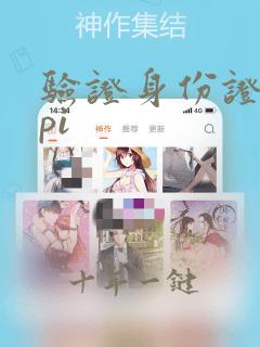 验证身份证号api
