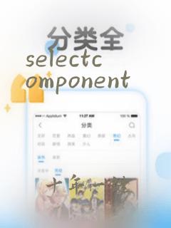selectcomponent
