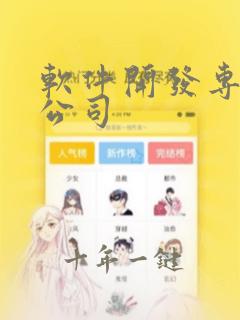 软件开发专业的公司