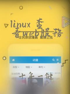 linux 查看web服务