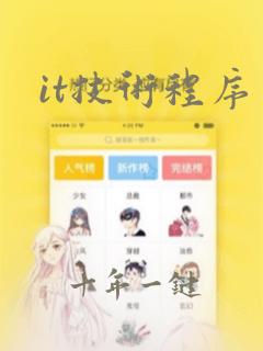 it技术程序员