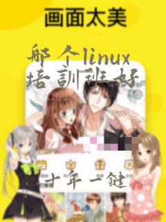 哪个linux培训班好