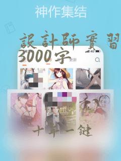 设计师实习总结3000字