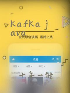 kafka java