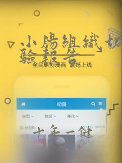 小肠组织切片实验报告