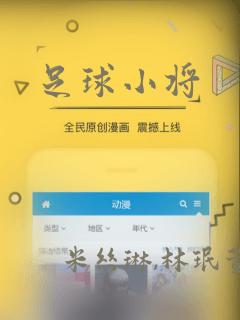 足球小将：结局+番外