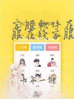 客服软件在线客服在线客服系统
