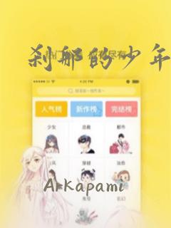 刹那的少年