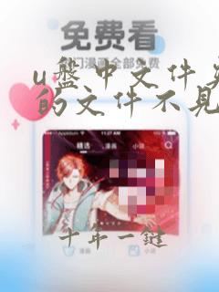 u盘中文件夹中的文件不见了