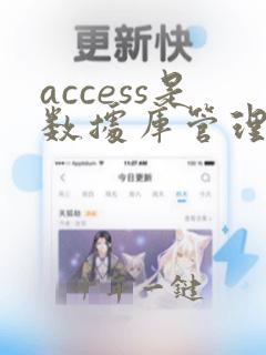 access是数据库管理系统