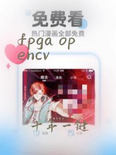 fpga opencv