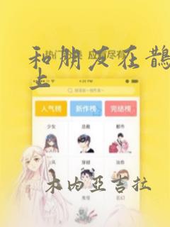 和朋友在鹊桥之上：结局+番外