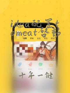 idea配置tomcat启动