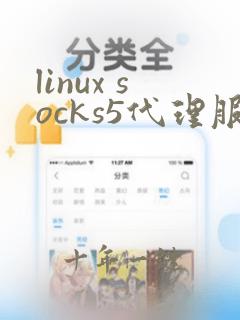 linux socks5代理服务器