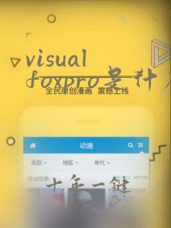 visual foxpro是什么软件