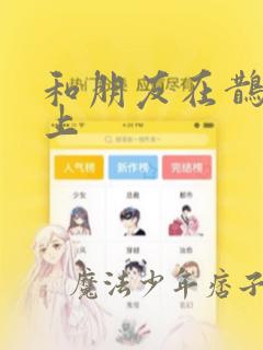 和朋友在鹊桥之上：结局+番外
