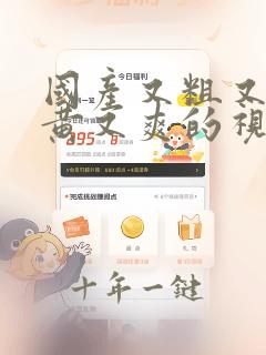国产又粗又猛又黄又爽的视频软件