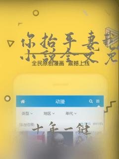 你抬平妻我换夫小说全文免费