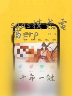 saas模式电商erp