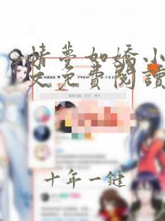情梦如娇小说全文免费阅读
