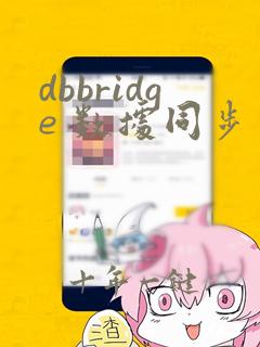 dbbridge 数据同步