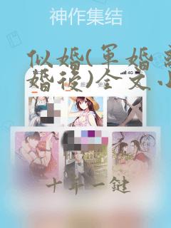 似婚(军婚 离婚后)全文小说
