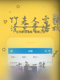 竹夫人电视剧高清免费播放