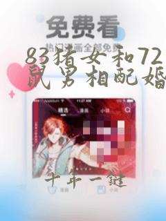 83猪女和72鼠男相配婚姻如何