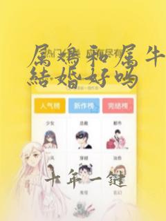 属鸡和属牛今年结婚好吗