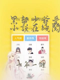 黑帮少爷爱上我小说在线阅读
