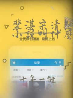 裴湛宋清然姜o小说叫什么名字
