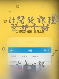 it开发课程学习哪个好