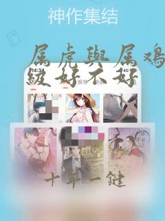 属虎与属鸡上下级好不好